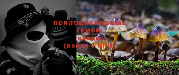 соль ск Абаза